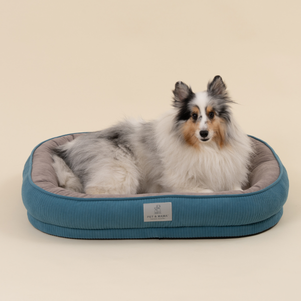 페오펫몰,[펫앤마마][새해특가] 강아지 방석 쿠션 3종 (화이트/오렌지/블루) M~2XL