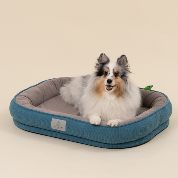 페오펫몰,[펫앤마마][새해특가] 강아지 방석 쿠션 3종 (화이트/오렌지/블루) M~2XL