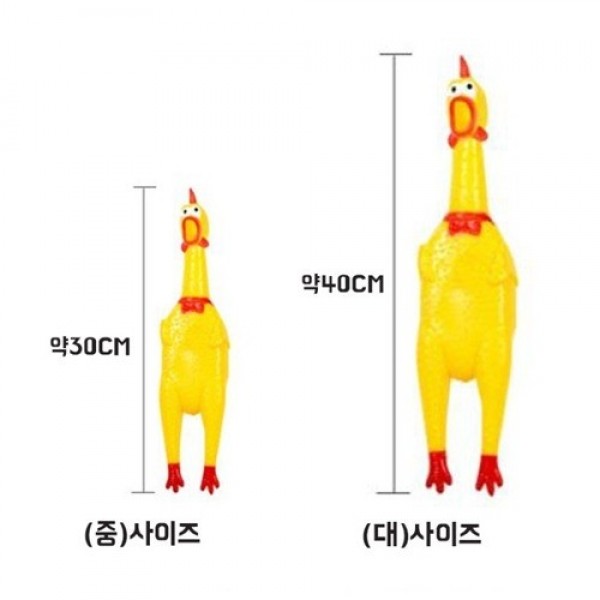 꾸엑꽥 소리나는 괴성닭 (중,대)