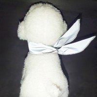 뽀뇨 멍무원 스카프 [최저가]