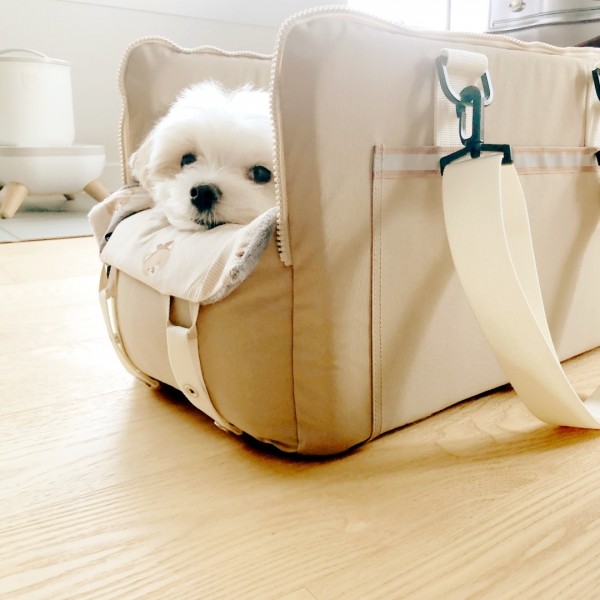 페오펫몰,뽀뇨 콘솔 블록킹 카시트 소형견 전용 [최저가]