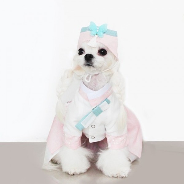 페오펫몰,레드퍼피 안개꽃한복