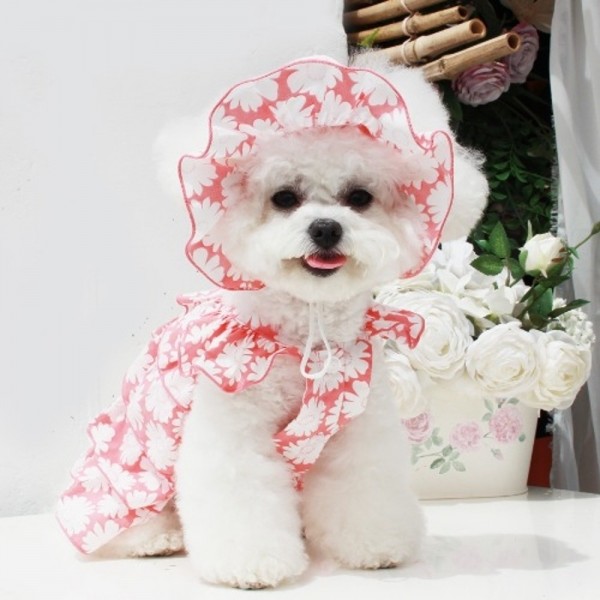 페오펫몰,레드퍼피 플라워썬캡