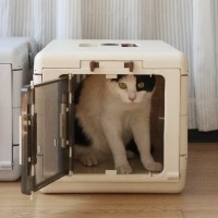 레드퍼피 에스텔켄넬 애견켄넬 강아지켄넬 이동장 켄넬 강아지이동장 애견이동장 대형켄넬