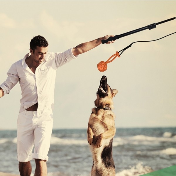 페오펫몰,레드퍼피 리셔스 낚시 터그놀이 간식통 노즈워크 삑삑이 애견훈련 공