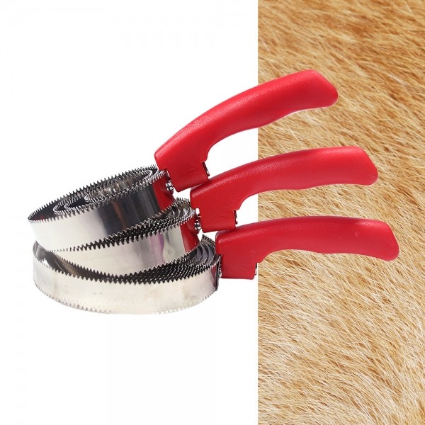 페오펫몰,레드퍼피 체스터 스텐브러쉬 강아지브러쉬 샤워용품 목욕 브러쉬 타올 마사지