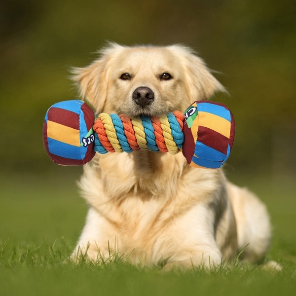 레드퍼피 파피오아령장난감 터그놀이 간식통 노즈워크 삑삑이 애견훈련 공