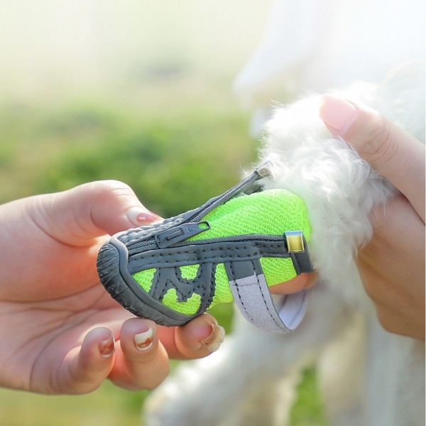 페오펫몰,레드퍼피 드라코 강아지메쉬신발[S~XL] 신발 보호