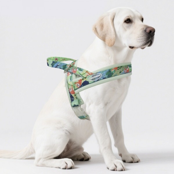 페오펫몰,레드퍼피 시크릿 하네스리드줄세트 목줄 강아지산책 리드줄 강아지리드줄 강아지목줄 애견리드줄 애견목줄