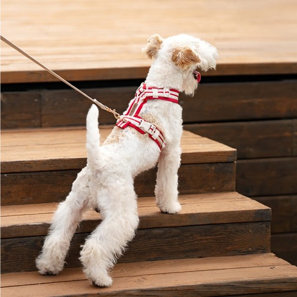 페오펫몰,레드퍼피 벨트 하네스[S~XL] 목줄 강아지산책 리드줄 강아지리드줄 강아지목줄 애견리드줄 애견목줄