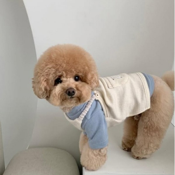 페오펫몰,레드퍼피 비숑 코듀로이 멜빵[S~2XL] 점퍼 패션용품 패션 옷 점퍼 티 따뜻한 야간 여름 비옷