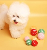 레드퍼피 테니스공 장난감 노즈워크 삑삑이 애견훈련 공