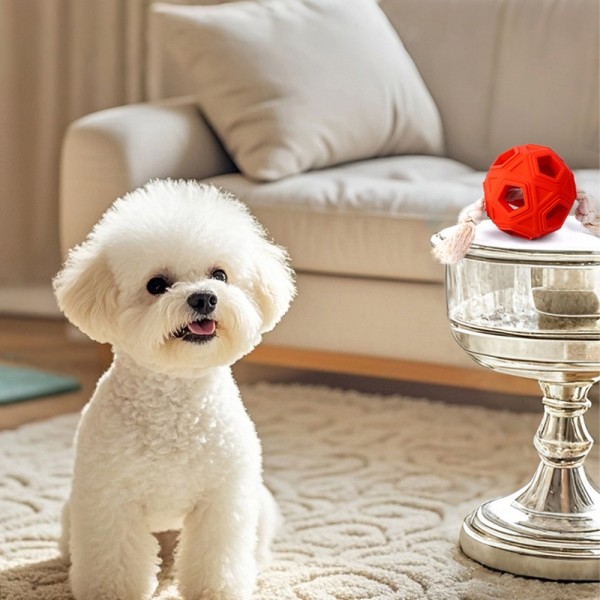 페오펫몰,레드퍼피 펜타곤 터그놀이공 간식볼 장난감 노즈워크 삑삑이 애견훈련 공