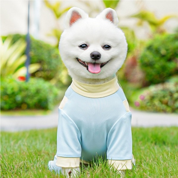 페오펫몰,레드퍼피 아쿠아 래시가드 패션용품 패션 옷 점퍼 티 따뜻한 야간 여름