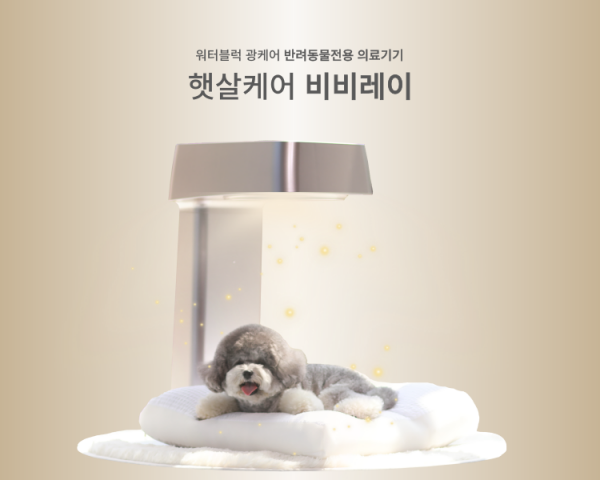 페오펫몰,[BB RAY] 프리미엄 홈 메디컬 케어(반려동물용 의료기기)