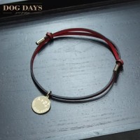 DOG DAYS 네임텍 가죽 목걸이 레드(초소형_초대형)