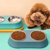 [댕캉스특가] 펫트너스 레이스 강아지 식기 고양이 밥그릇 물그릇 2구