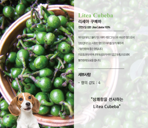 페오펫몰,미트유 쌀겨 아로마 반려동물 디퓨저 120ml