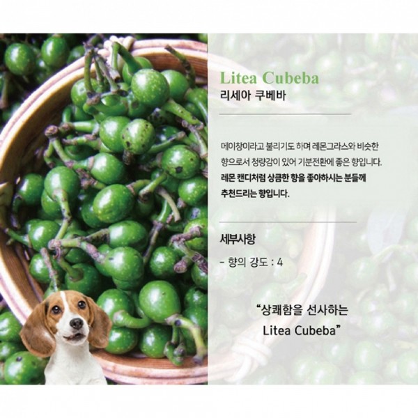 페오펫몰,미트유 대용량 반려동물 강아지 고양이 디퓨저 실내 리필 방향제 플라워 500ml