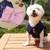 썸네일(스크롤)