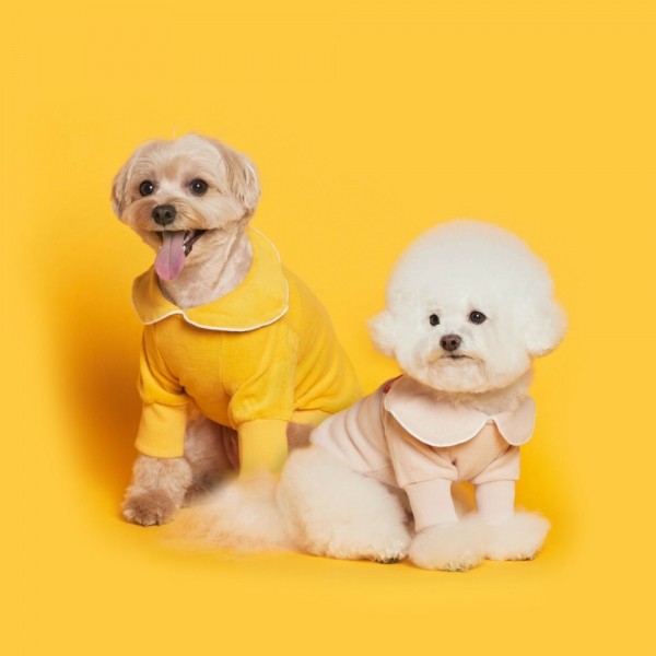 페오펫몰,플로트 데이지 테리파자마 2컬러 강아지옷