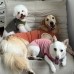 썸네일(스크롤)