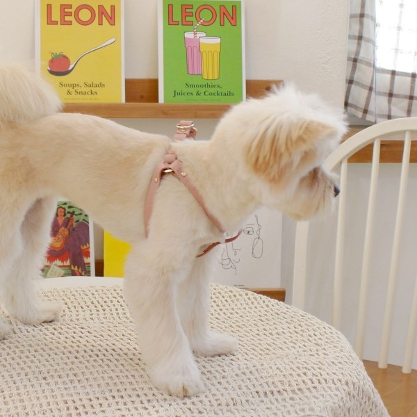 페오펫몰,[댕보양특가] 러닝 메이트 하네스 (가슴줄) 로즈 핑크