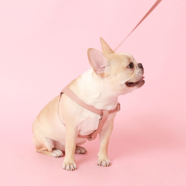 페오펫몰,[댕보양특가] 러닝 메이트 하네스 (가슴줄) 로즈 핑크