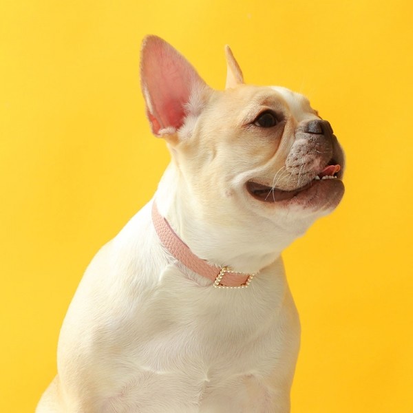 페오펫몰,스퀘어 진주 목줄 로즈 핑크