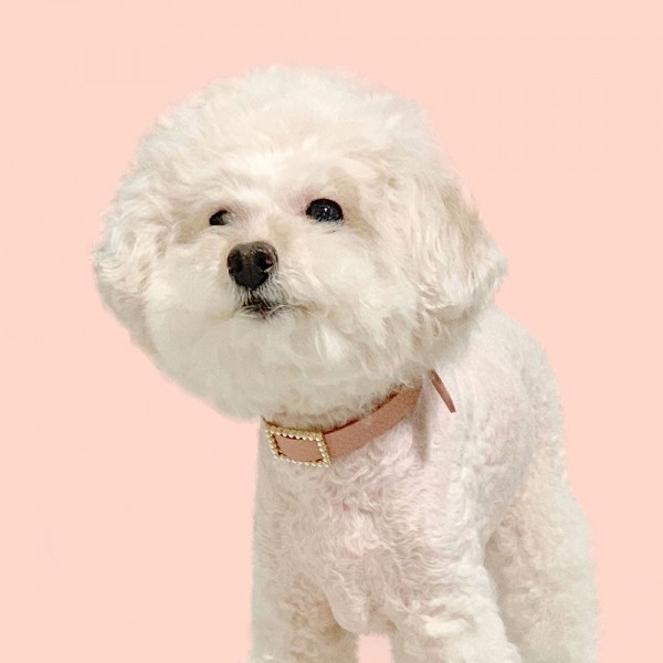 페오펫몰,스퀘어 진주 목줄 로즈 핑크