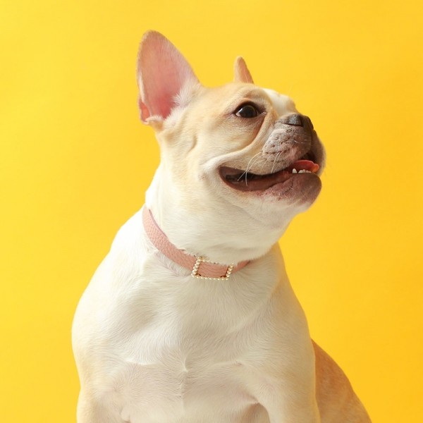 페오펫몰,스퀘어 진주 목줄 로즈 핑크