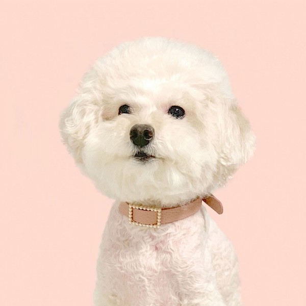 페오펫몰,스퀘어 진주 목줄 로즈 핑크