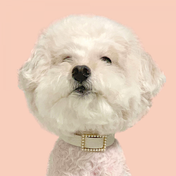 페오펫몰,스퀘어 진주 목줄 화이트