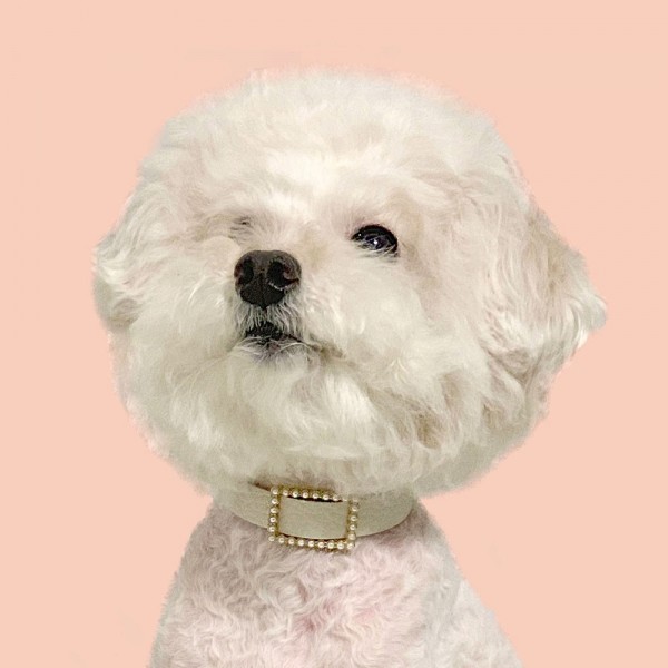 페오펫몰,스퀘어 진주 목줄 화이트