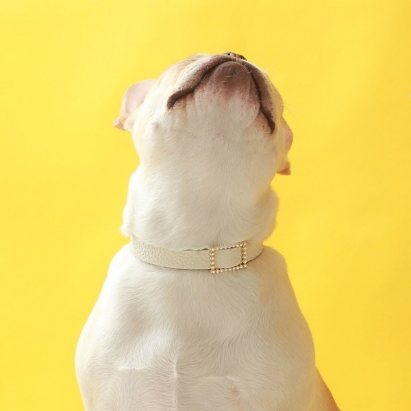 페오펫몰,스퀘어 진주 목줄 화이트