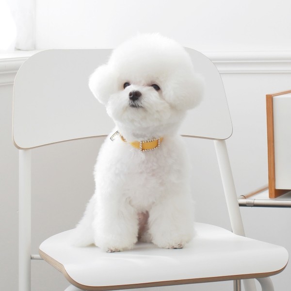 페오펫몰,스퀘어 진주 목줄 옐로우