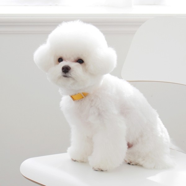 페오펫몰,스퀘어 진주 목줄 옐로우