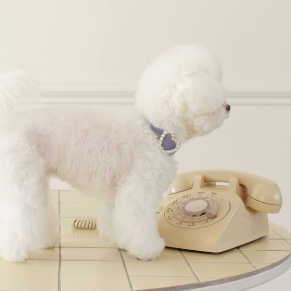 페오펫몰,[댕보양특가] 하트 진주 목줄 바이올렛