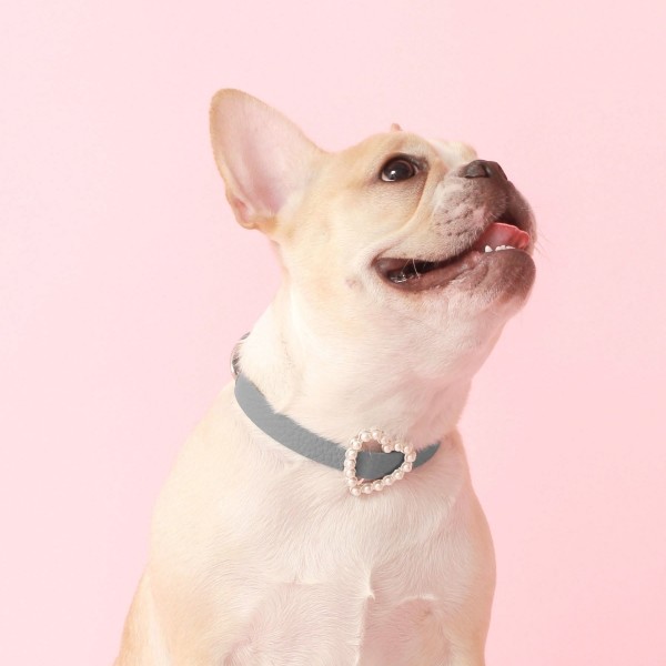 페오펫몰,[댕보양특가] 하트 진주 목줄 인디안 블루