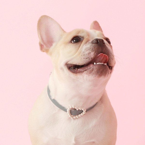 페오펫몰,[댕보양특가] 하트 진주 목줄 인디안 블루