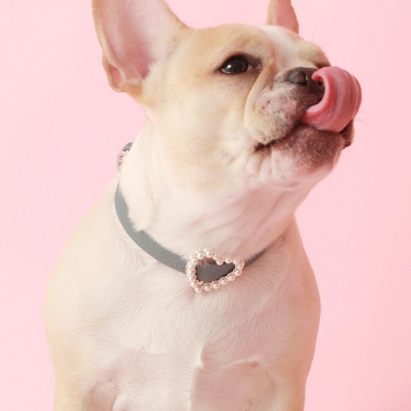 페오펫몰,[댕보양특가] 하트 진주 목줄 인디안 블루