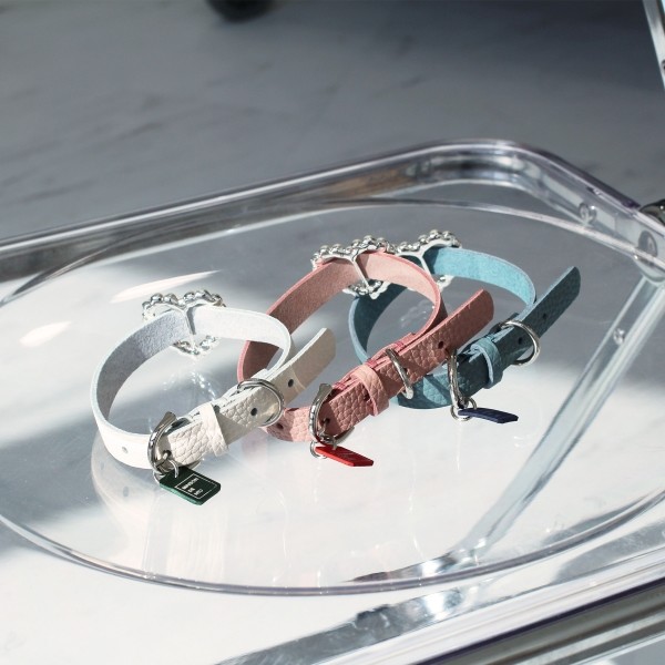 페오펫몰,[댕보양특가] 하트 진주 목줄 인디안 블루