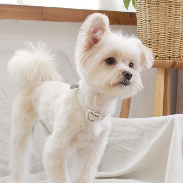 페오펫몰,[댕보양특가] 하트 진주 목줄 화이트