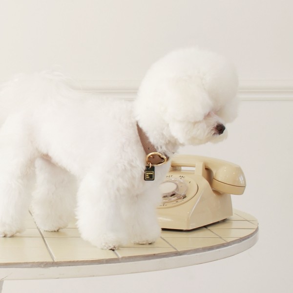 페오펫몰,[댕보양특가] 하트 펜던트 목줄 브라운