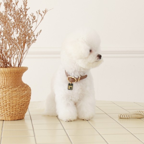 페오펫몰,[댕보양특가] 하트 펜던트 목줄 브라운