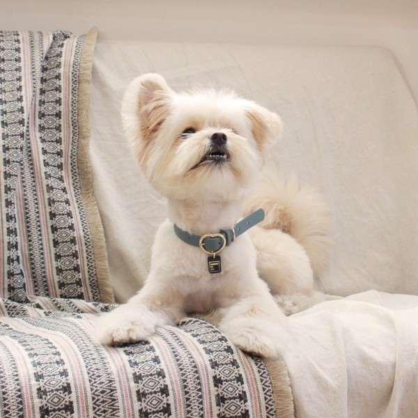 페오펫몰,[댕보양특가] 하트 펜던트 목줄 인디안 블루