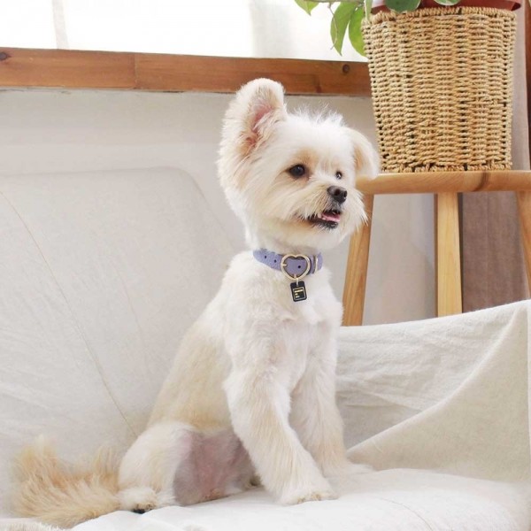 페오펫몰,[댕보양특가] 하트 펜던트 목줄 바이올렛