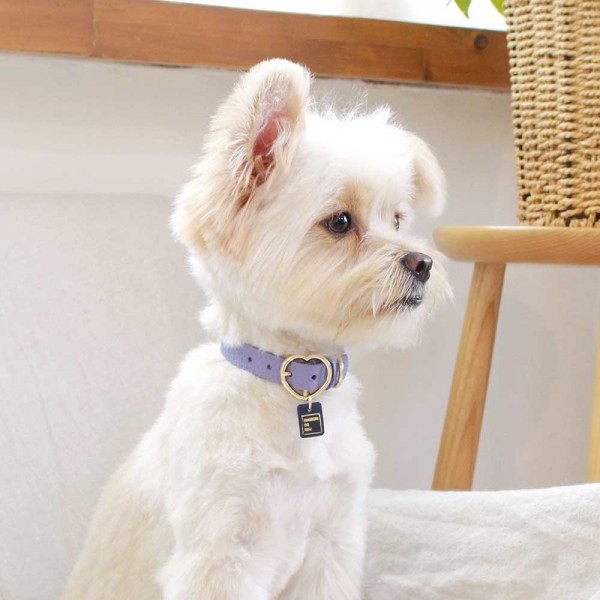 페오펫몰,[댕보양특가] 하트 펜던트 목줄 바이올렛