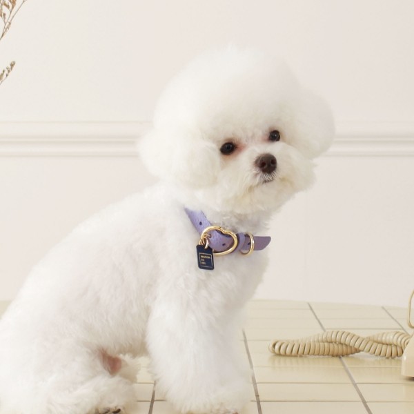 페오펫몰,[댕보양특가] 하트 펜던트 목줄 바이올렛