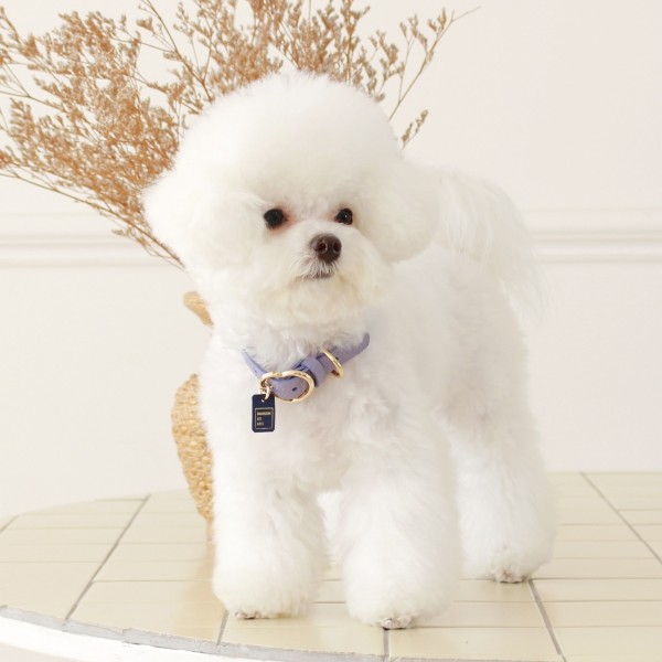 페오펫몰,[댕보양특가] 하트 펜던트 목줄 바이올렛